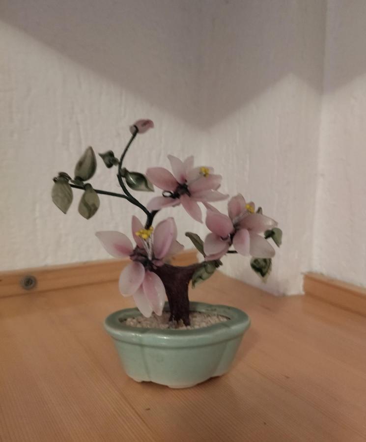 Apartment Klara Бар Екстериор снимка